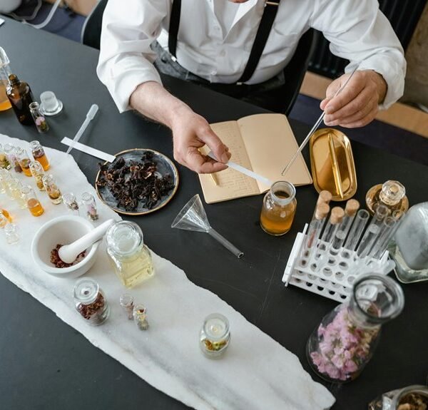 Business Process Stability & Flow Assessment: 633210739, 981779146, 6958167756, 925341138, 18554074767, 3455914455