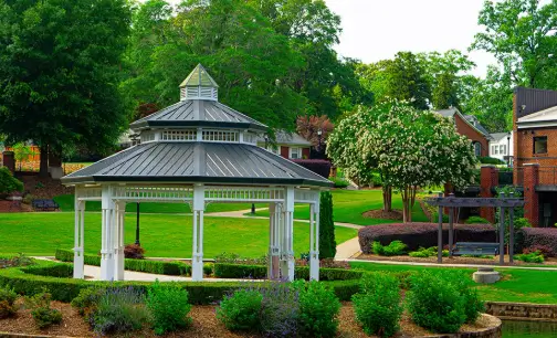 Greener Grass Landscaping: Changing the Way Mount Pleasant, South Carolina Residents Approach Outdoor Spaces